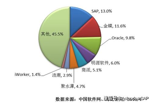 ERP企業(yè)管理系統(tǒng)如何選擇 聚焦計(jì)算機(jī)系統(tǒng)服務(wù)行業(yè)
